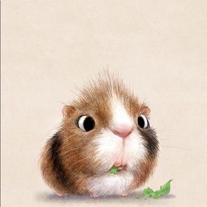 Meet your Posher, Lindsay